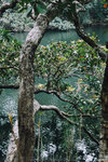 P1052232