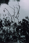 P1052246