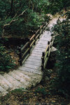 P1052276
