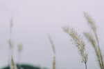 P1052338