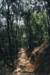 P1052498