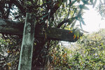 P1052984