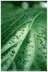 IMG_4363a