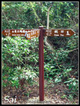 CIMG0403