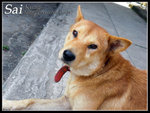CIMG0449