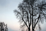 IMG_8812