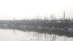 IMG_8919