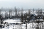 IMG_8937