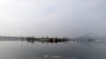 L1100215