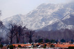 L1100988