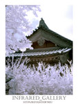 DSC02750i