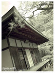 DSC04143a