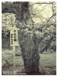 DSC04145