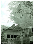 DSC04151