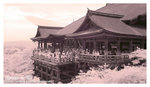 DSC04168