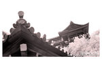 DSC04171
