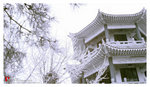 DSC04502a