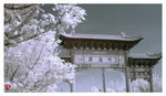 DSC04541