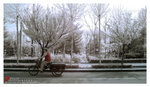 DSC04542a