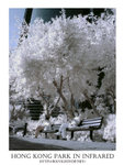 DSC02827a