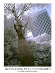 DSC02835a