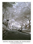 DSC02836a