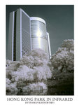DSC02876a