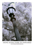 DSC02877a