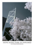 DSC02880a
