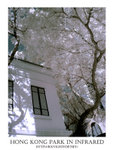 DSC02883a