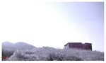 DSC04935