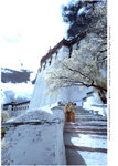 R0019796