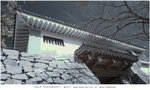 R0119968