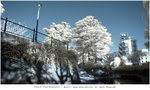 R0120046
