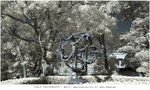 R0120062