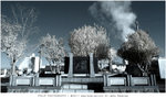 R0120196