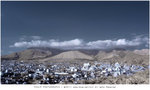 R0120215