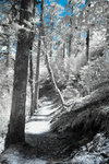 R0123390