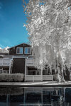 R0123490