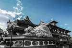 IR-0001-R0123872
