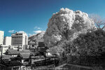 IR-0002-R0123874