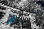 IR-0004-R0123884
