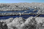 IR-0009-R0123895