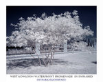 DSC03077a