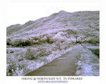 DSC03350