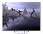 DSC03629