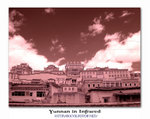DSC03649