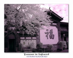 DSC03656