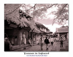 DSC03657