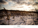 IMG_1043